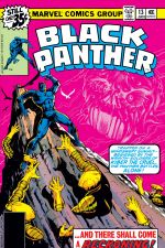 Black Panther (1977) #13 cover