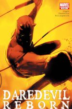 Daredevil: Reborn (2010) #2 cover