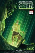 Immortal Hulk (2018) #13 cover