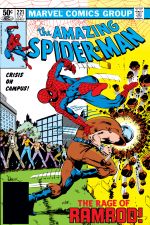 The Amazing Spider-Man (1963) #221 cover