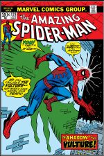 The Amazing Spider-Man (1963) #128 cover
