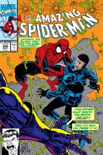 The Amazing Spider-Man (1963) #349 cover