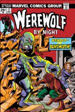 Werewolf By Night (1972) #17 cover