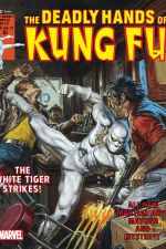 Deadly Hands of Kung Fu (1974) #27 cover
