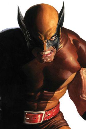 Wolverine #6  (Variant)
