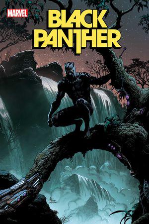 Black Panther #3  (Variant)