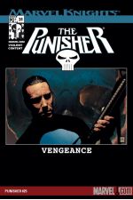 Punisher (2001) #25 cover