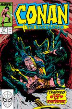 Conan the Barbarian (1970) #217 cover