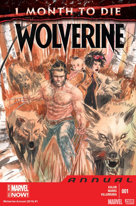Cover of Wolverine Annual #1