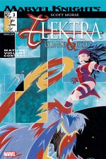 Elektra: Glimpse and Echo (2002) #3 cover