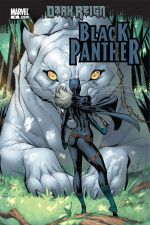 Black Panther (2009) #4 cover