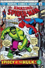 The Amazing Spider-Man (1963) #119 cover