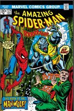 The Amazing Spider-Man (1963) #124 cover