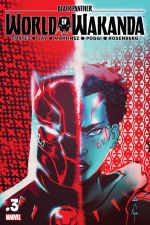 Black Panther: World of Wakanda (2016) #3 cover