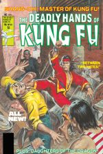 Deadly Hands of Kung Fu (1974) #33 cover