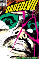 Daredevil (1964) #228 cover