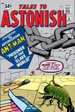 Tales to Astonish (1959) #41 cover