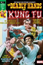 Deadly Hands of Kung Fu (1974) #3 cover