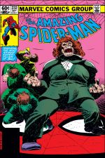 The Amazing Spider-Man (1963) #232 cover
