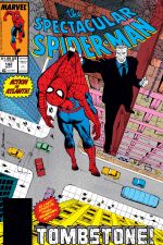 Peter Parker, the Spectacular Spider-Man (1976) #142 cover
