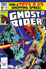 Ghost Rider (1973) #49 cover