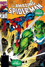 The Amazing Spider-Man (1963) #381 cover