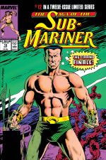 Saga of the Sub-Mariner (1988) #12 cover