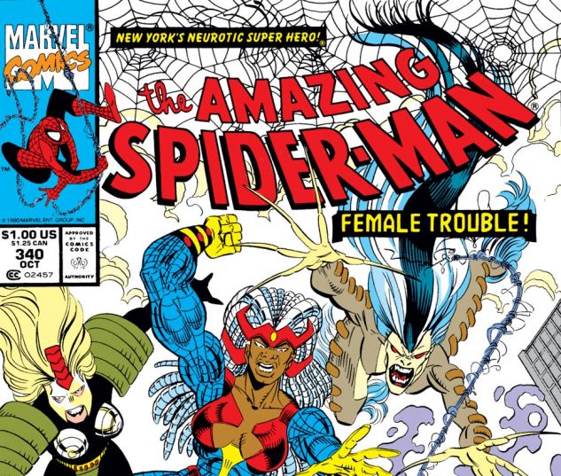 Amazing Spider-Man (1963) #340 Cover