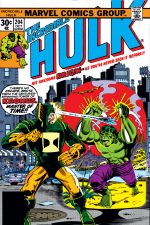 Incredible Hulk (1962) #204 cover