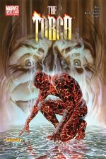 The Torch (2009) #7 cover