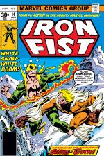 Iron Fist (1975) #14 cover