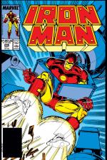 Iron Man (1968) #246 cover