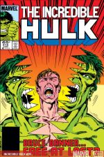 Incredible Hulk (1962) #315 cover