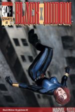 Black Widow (2001) #2 cover