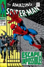 The Amazing Spider-Man (1963) #65 cover