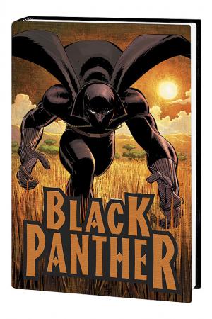 Black Panther: Who Is the Black Panther (Hardcover)