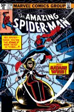The Amazing Spider-Man (1963) #210 cover