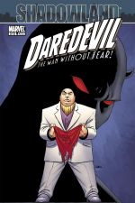 Daredevil (1998) #510 cover