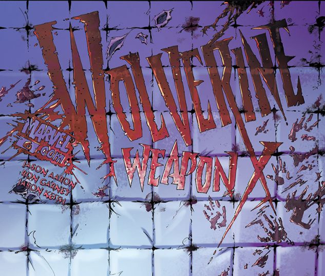 Wolverine Weapon X (2009) #6