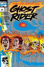 Ghost Rider (1990) #25 cover