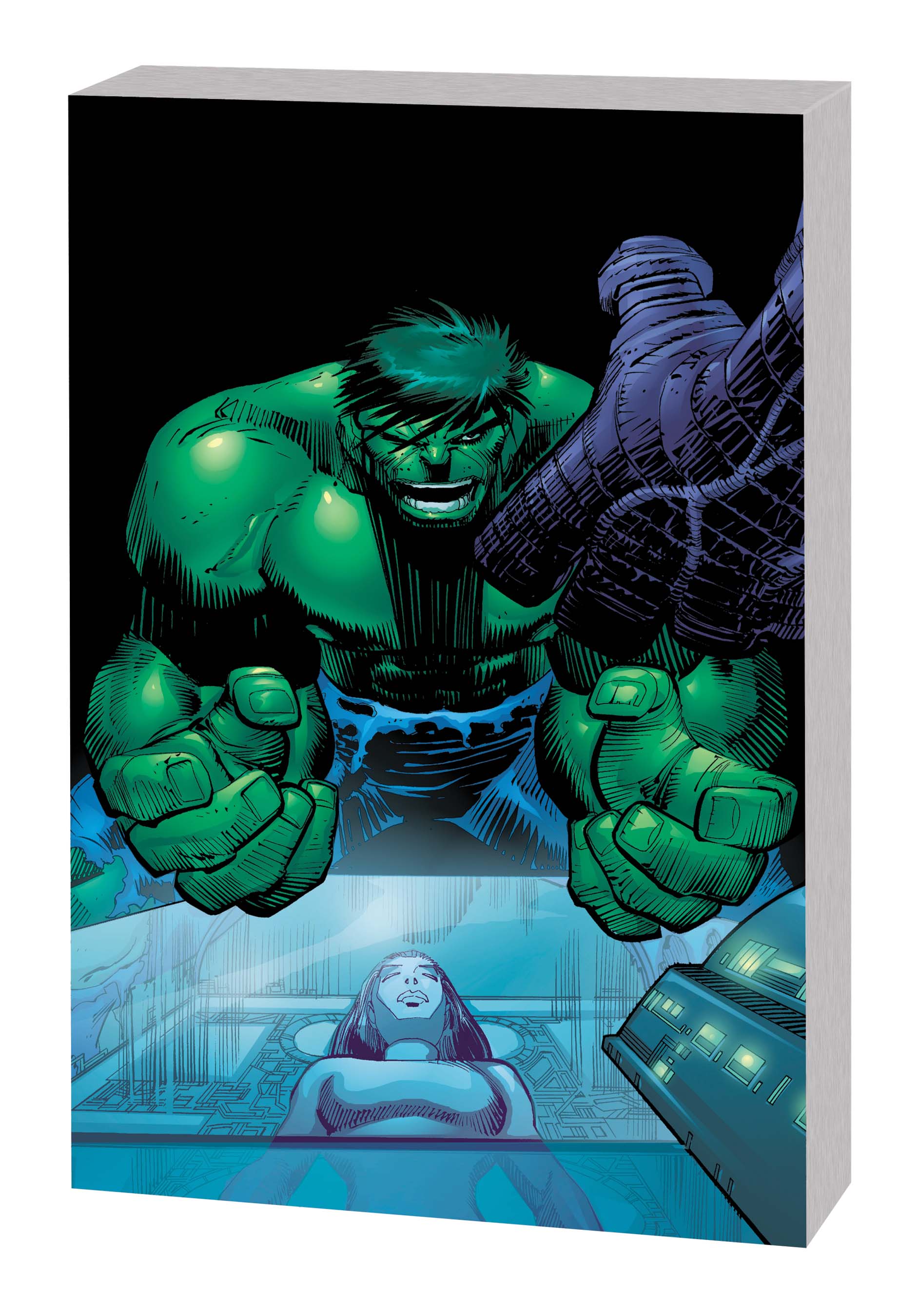Incredible Hulk: Past Perfect (Trade Paperback)