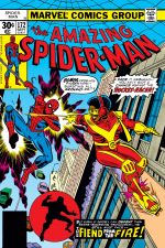 The Amazing Spider-Man (1963) #172 cover