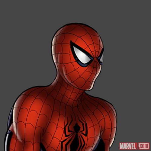 Character drawing of Spider-Man (Marvel: Avengers Alliance)