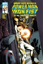 Power Man and Iron Fist (2010) #3 cover