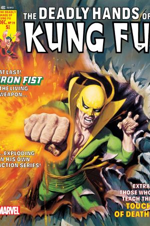 Deadly Hands of Kung Fu #19 