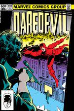 Daredevil (1964) #192 cover