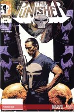 Punisher (2000) #4 cover