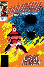 Daredevil (1964) #254 cover