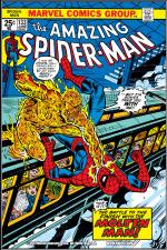 The Amazing Spider-Man (1963) #133 cover