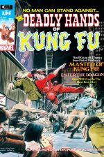 Deadly Hands of Kung Fu (1974) #2 cover